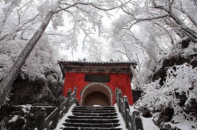 ViVi Tong tweet media