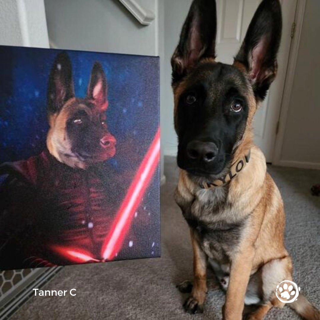 iconicpaw's tweet photo. 10/10 for nailing the pose! 😍

Have you bought your loved one a Valentine's Day gift yet? Shop now via the link in our bio!

📷 Tanner 
.
.
#iconicpaw #petportrait #customportrait #starwarsfan #starwarsart #doglover #bestgiftever #giftideas #wallart #cutedog #petart #dogmom https://t.co/3gyBxpYzgX