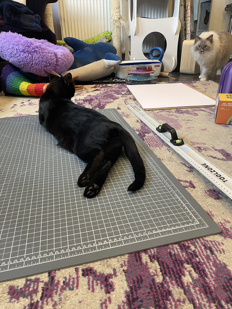 TVondoodlebug's tweet photo. Ziggy says paint me like those french ladies https://t.co/aWliNAibCB
