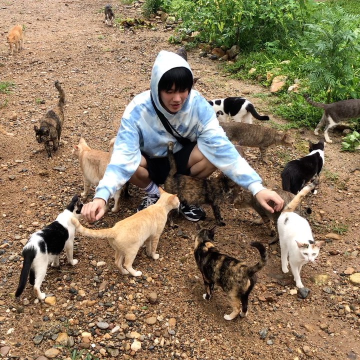 Buildurluve06's tweet photo. Señor de los gatos🤗

NO JUSTICE NO REST
#DemandJusticeForBuild https://t.co/Fa86CNxjCP