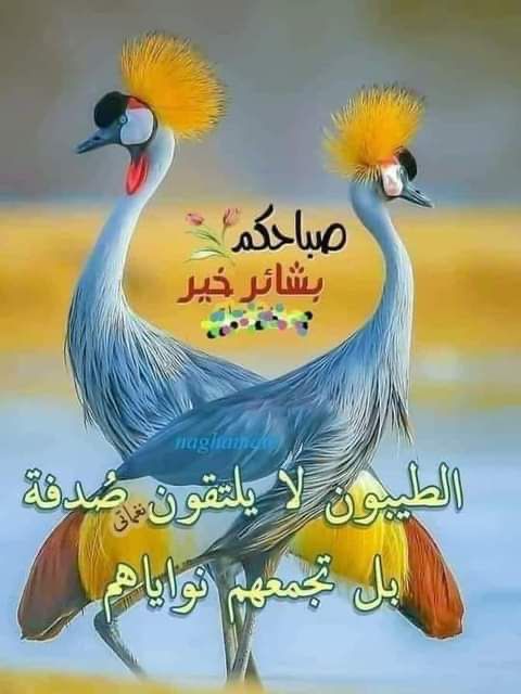 ركعتين قبل صلاة الفجر خير من الدنيا وما عليها