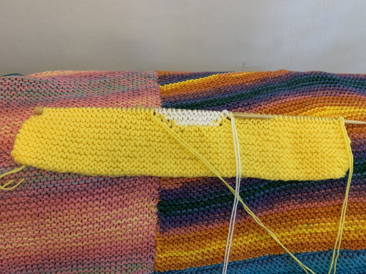 TheChattyScientist tweet media