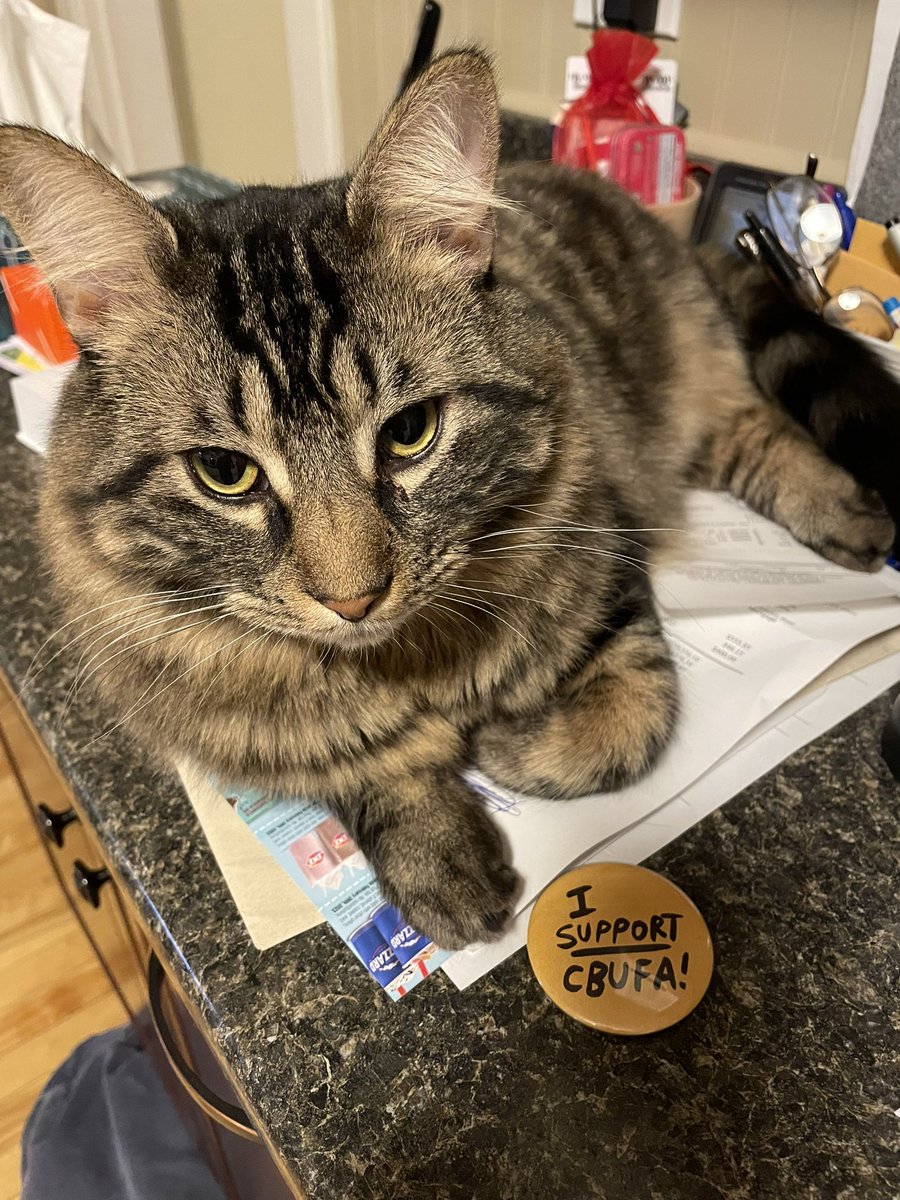 Rod Beresford tweet media