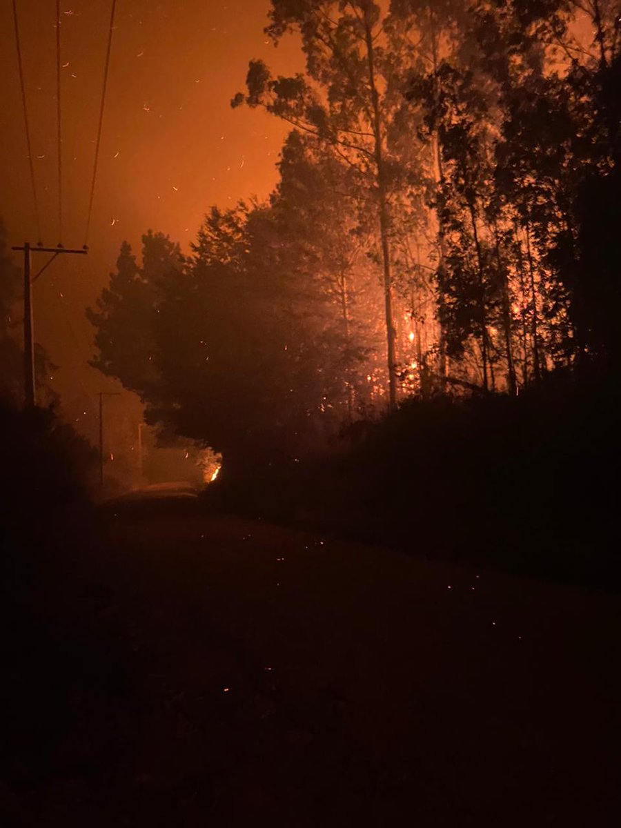 flerzund's tweet photo. Así se ve el campo familiar... se quemó completamente todo #IncendioForestal #Tomé #Chillan #EmergenciaBiobio https://t.co/jJOWVbUG3T