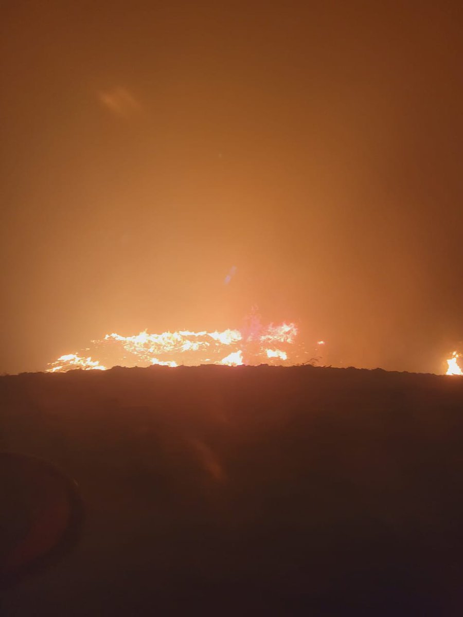 flerzund's tweet photo. Así se ve el campo familiar... se quemó completamente todo #IncendioForestal #Tomé #Chillan #EmergenciaBiobio https://t.co/jJOWVbUG3T