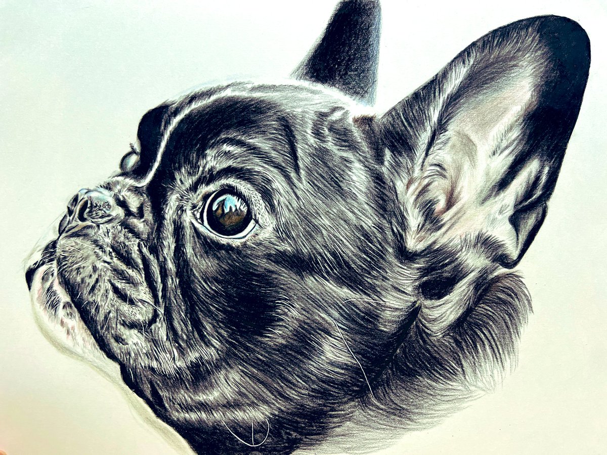 吉田千秋　版画　フレンチブルドッグ 吉田千秋 版画 フレンチブルドッグ