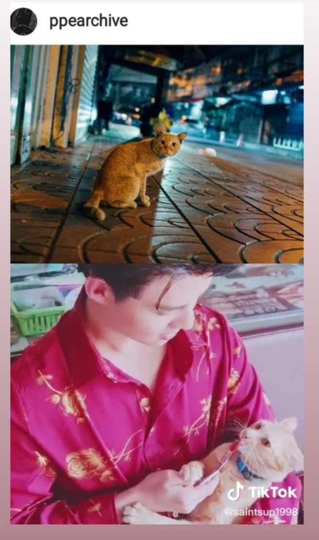 the cat is very cute..🖤❤️ 
#TRIGON #PerthTanapon #Saint_sup #PerthSaintSation