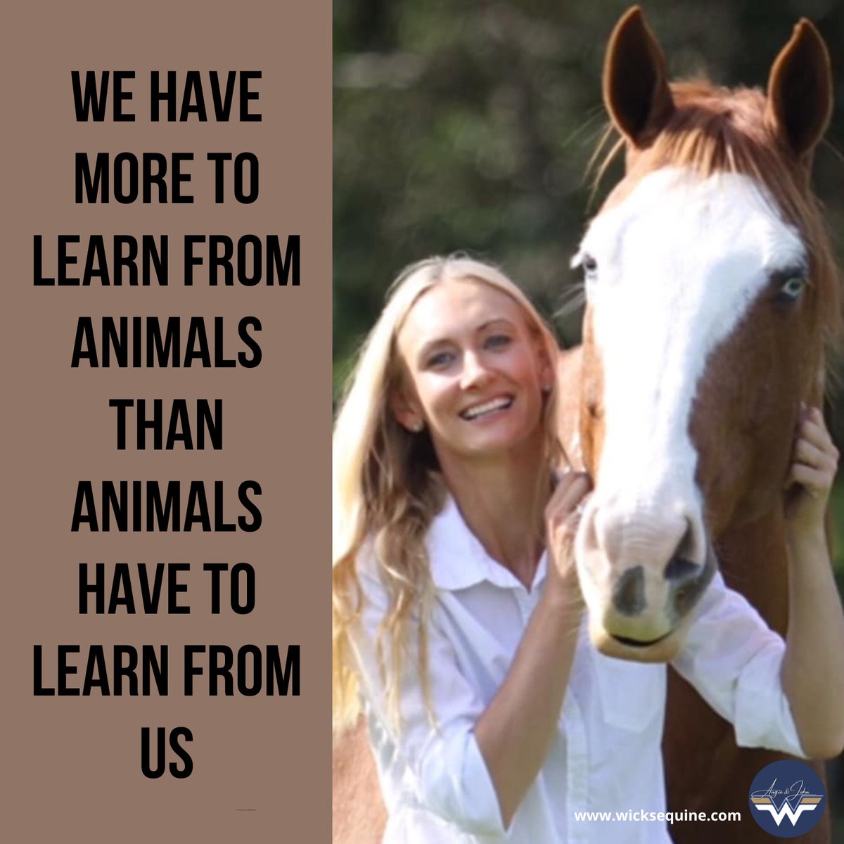 AngieEquine's tweet photo. Have an awesome day everyone
#wicksequine #johnwicks #angiewicks https://t.co/GJvaJ0vHVf