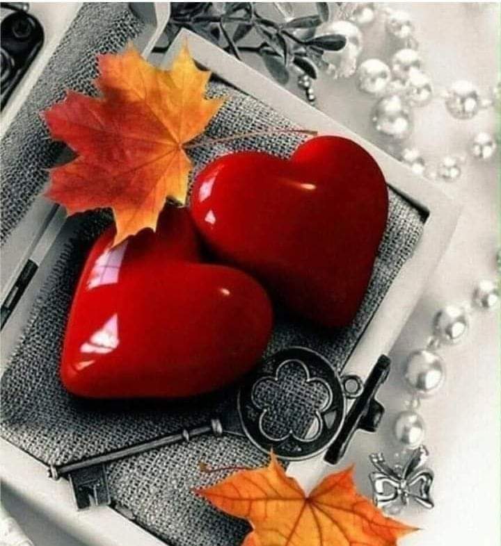 شيئان لايتغيران
في هذه الحياة أبداً..!
إتجاه القبلة 
وإتجاه مشاعر القلوب الصادقة
وكلاهما يحتاجان يقيناً وأخلاقاً