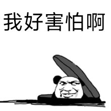 56669185388 tweet media
