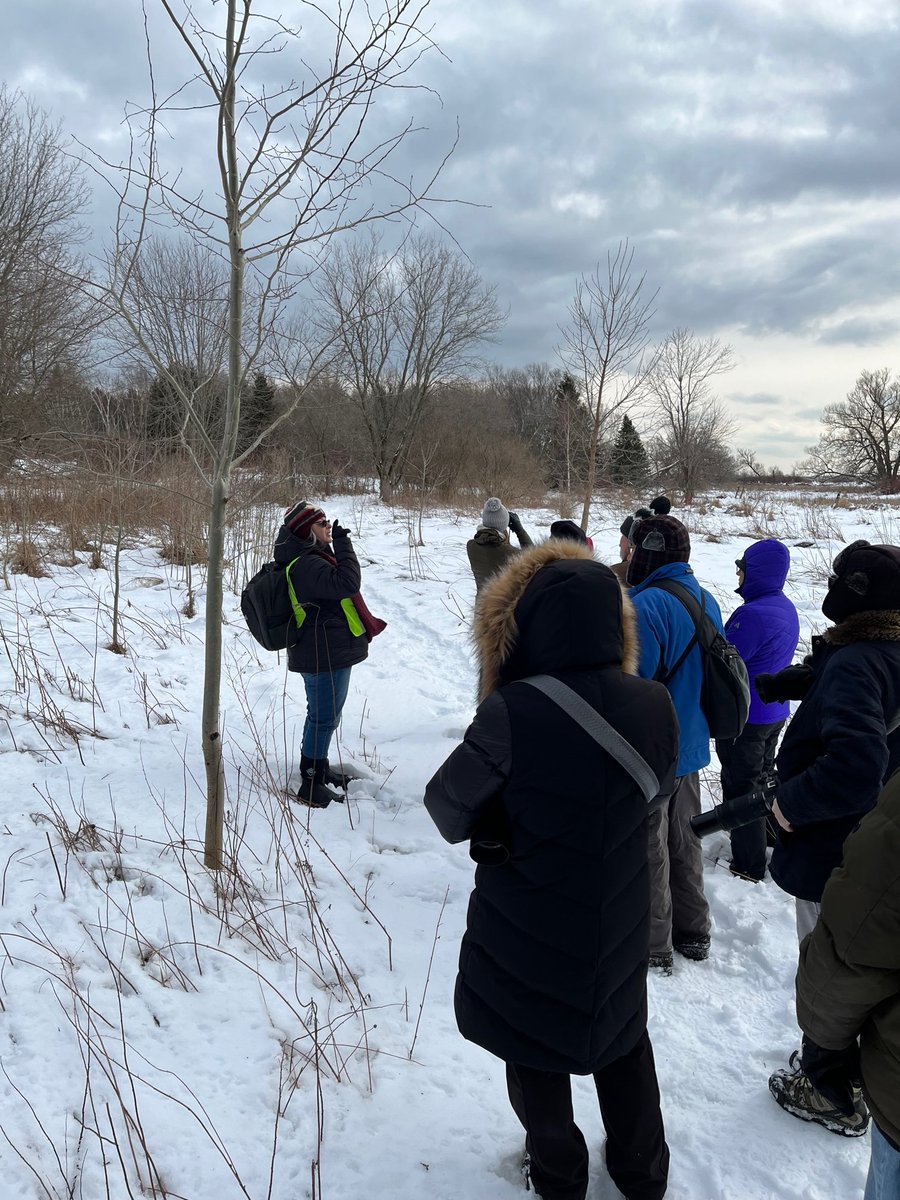 secondmarsh's tweet photo. Do you have a favourite #wetland? We do! It’s @oshawacity #SecondMarsh. In celebration of #WorldWetlandsDay2023, we organized a few winter walks to showcase our local marsh, a type of wetland. We even enjoyed some cedar tea, cheers! #FriendsofSecondMarsh #Oshawa https://t.co/VELLyzxwGG