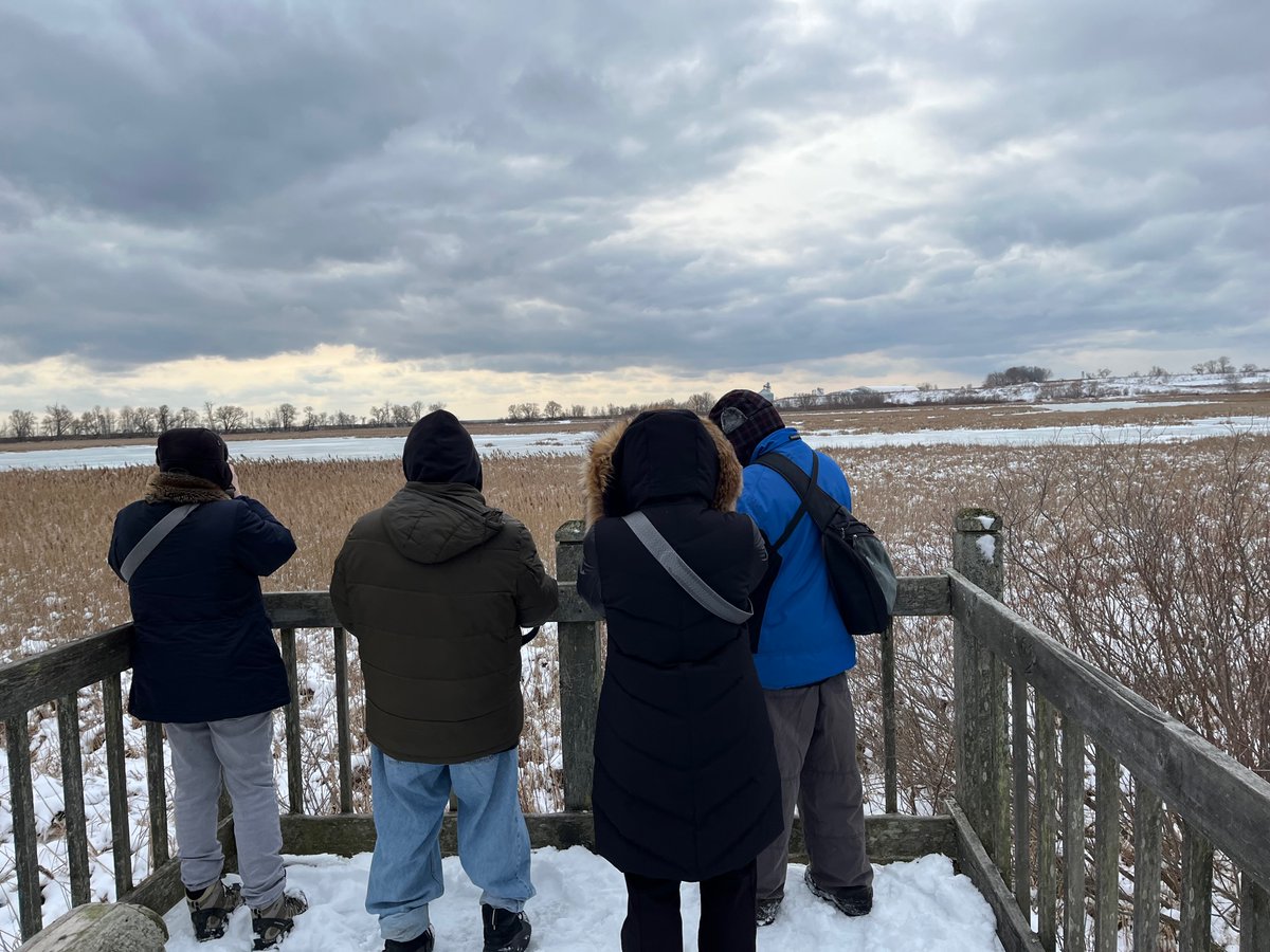 secondmarsh's tweet photo. Do you have a favourite #wetland? We do! It’s @oshawacity #SecondMarsh. In celebration of #WorldWetlandsDay2023, we organized a few winter walks to showcase our local marsh, a type of wetland. We even enjoyed some cedar tea, cheers! #FriendsofSecondMarsh #Oshawa https://t.co/VELLyzxwGG