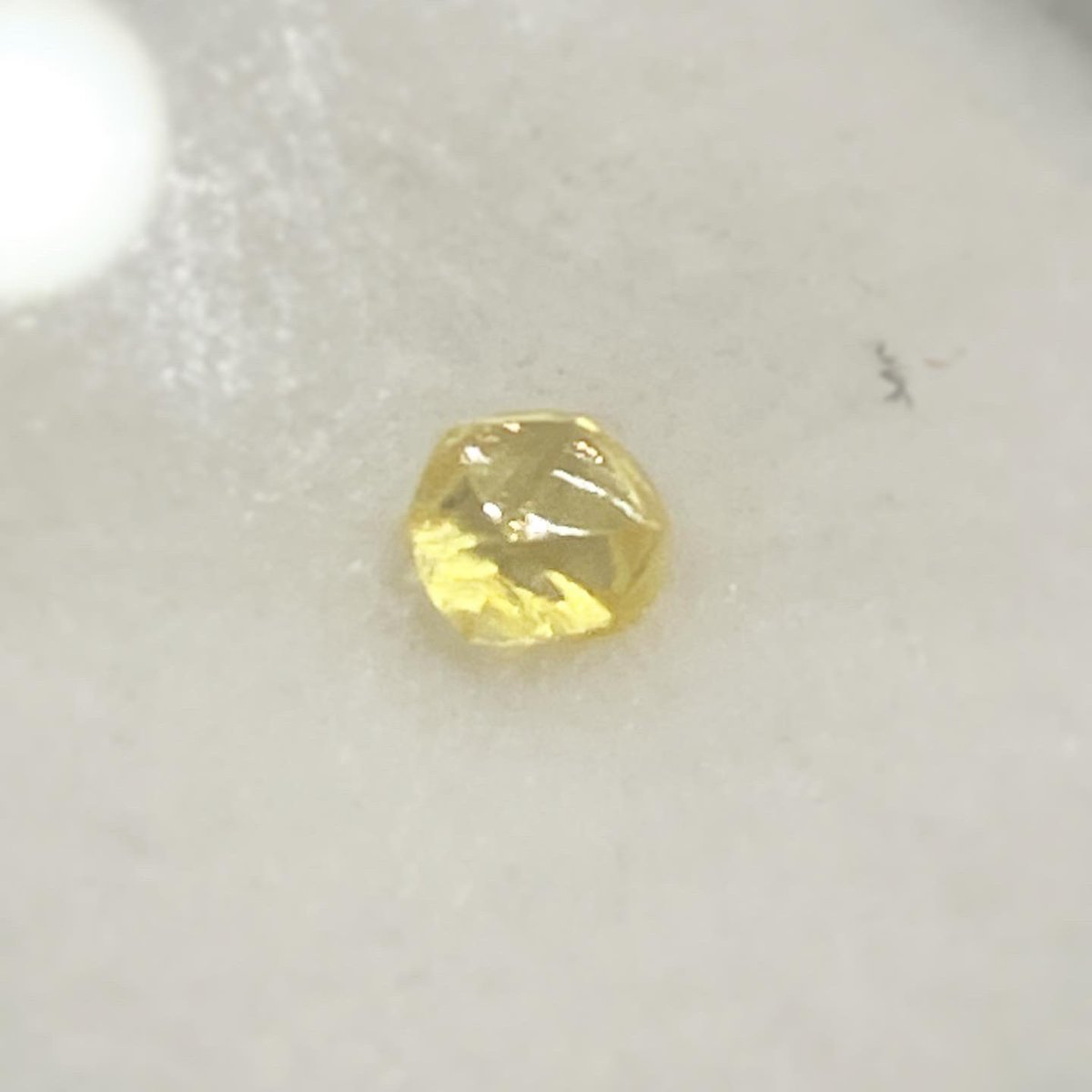 SINJUMONOGATARI's tweet photo. スガルト
SUGARTO POP UP STORE💎✨

@森パールSHOP&amp;gallery https://t.co/YzIAijkAQK
