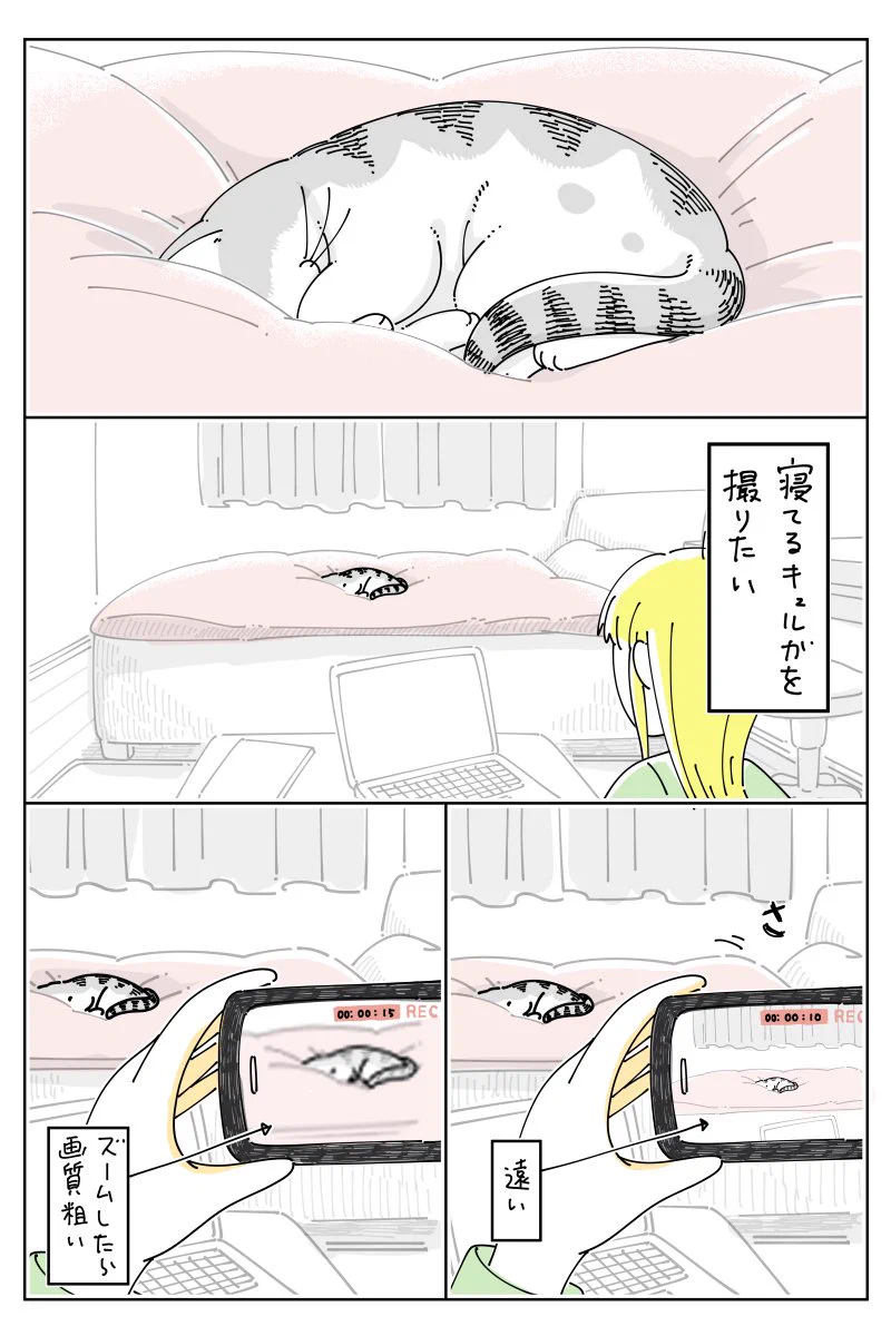 寝顔が隠れていたため上から撮ろうとしたら･･･！とっても可愛い「猫漫画」が話題に！