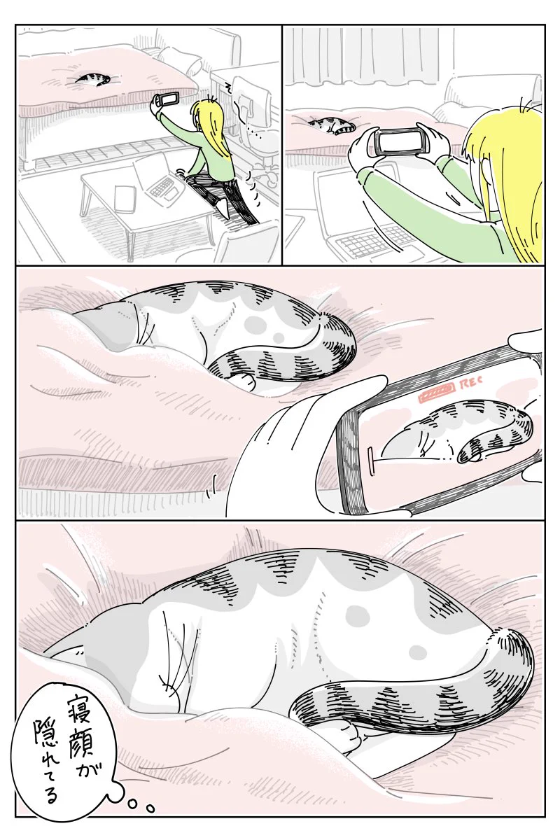 寝顔が隠れていたため上から撮ろうとしたら･･･！とっても可愛い「猫漫画」が話題に！