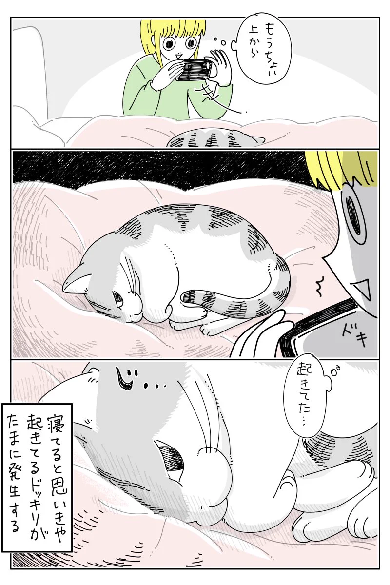 寝顔が隠れていたため上から撮ろうとしたら･･･！とっても可愛い「猫漫画」が話題に！