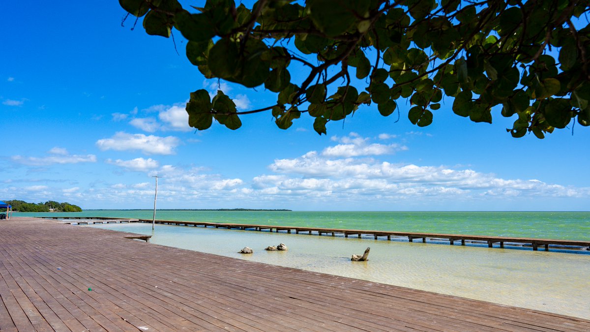 SEDATU_mx's tweet photo. ¿Ya conoces el malecón que construimos en Chetumal, #QuintanaRoo?

Con el Programa de #MejoramientoUrbano intervenimos más de 17 mil m2; los trabajos incluyeron la renovación de la imagen de la Costera de Calderitas y del corredor comercial. Aquí los resultados.

#ChetumalLate❤️ https://t.co/UeBq0iCjkg