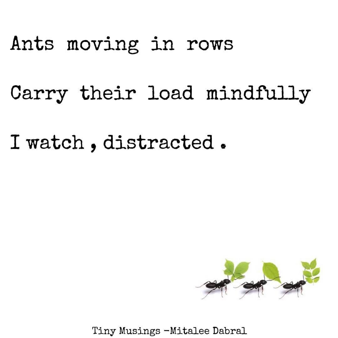 MusingsTiny's tweet photo. @RealisticPoetry https://t.co/mvyXUyu2u5
