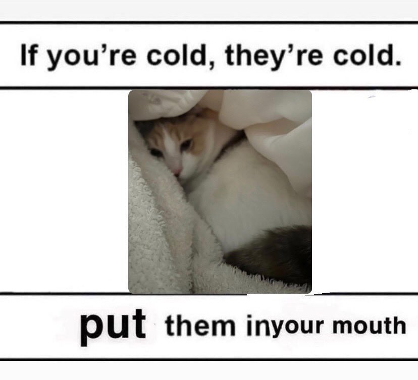 fatfatpankocat's tweet photo. https://t.co/VCbNVHixsB