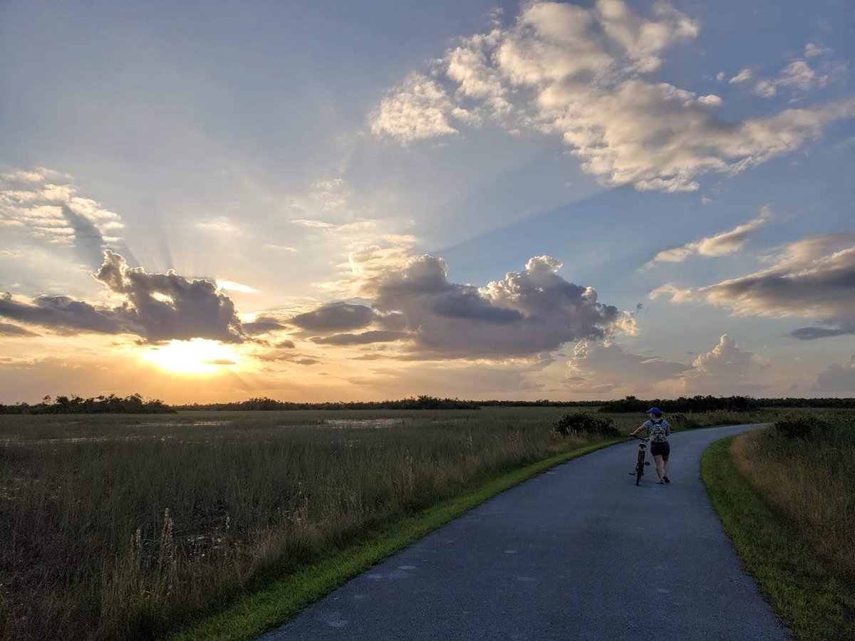 The #Everglades is North America's largest wetland, so happy #WorldWetlandsDay to the beloved River of Grass!  Here's my fave fact: 40% of the world's species live and breed in wetlands.