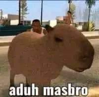 rafiprasetio's tweet photo. meme bocil smp pesbuk teranyar: capybara masbro
#literasimeme #memeindonesja #negativecomentwillbeforgiven https://t.co/rkQkbYqMMW