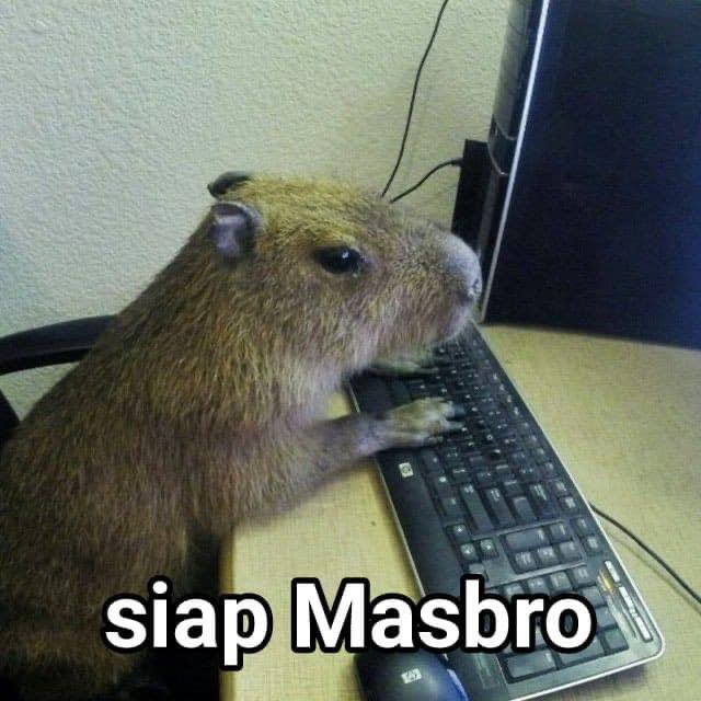 rafiprasetio's tweet photo. meme bocil smp pesbuk teranyar: capybara masbro
#literasimeme #memeindonesja #negativecomentwillbeforgiven https://t.co/rkQkbYqMMW