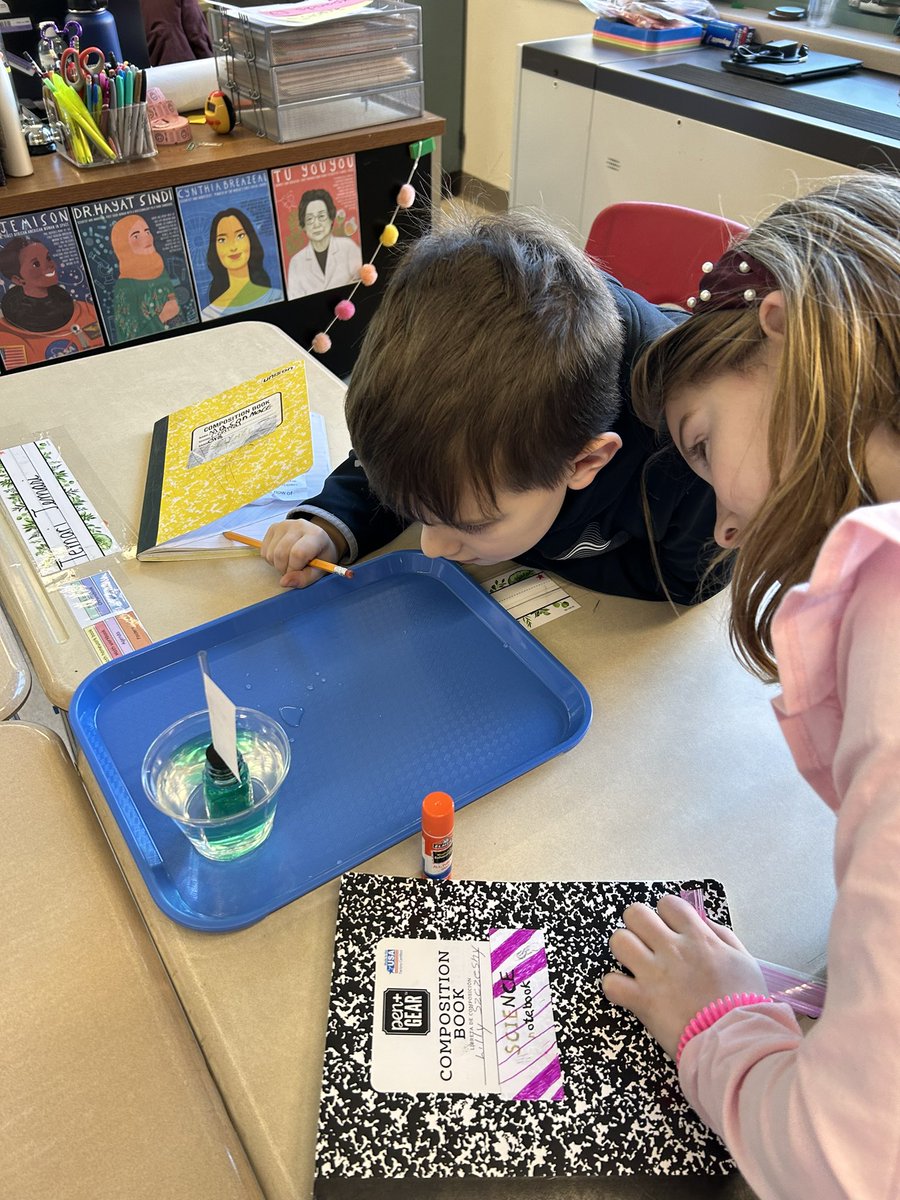 Alyssa Jacob tweet media