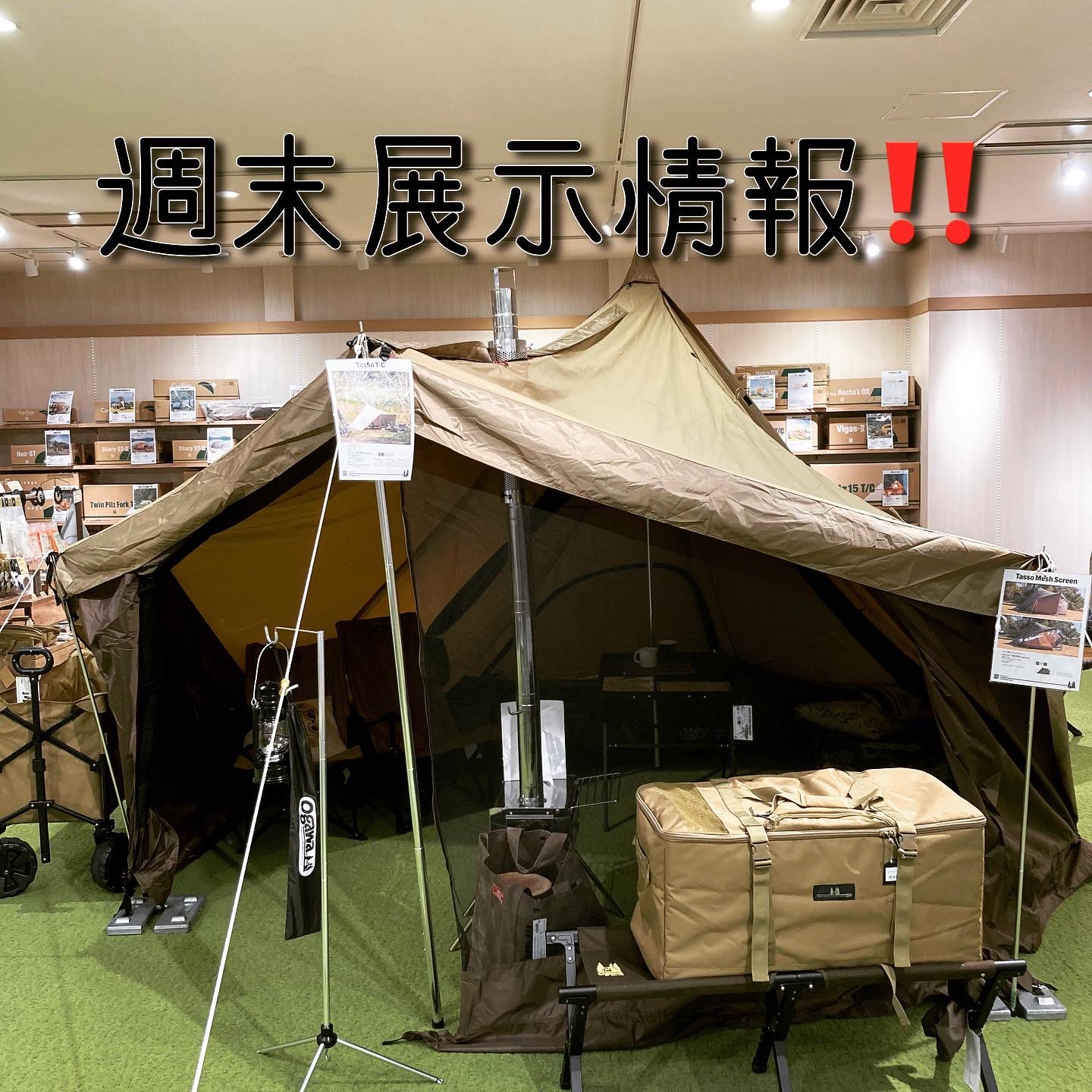 Ogawa タッソ 週末なので値引きします！！