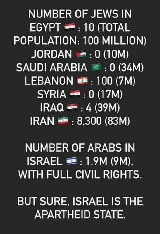 A Tame Lion tweet media