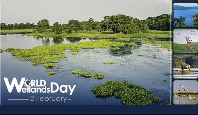 Preserve Wetlands. Preserve Life. #WetlandsDay2023