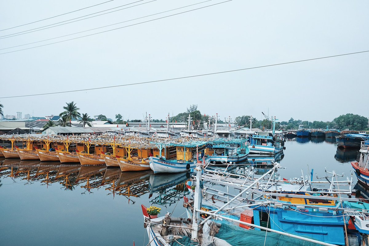 bamboo_airways's tweet photo. Fresh breeze, bright sunshine, and sandy beaches. What more could you ask for? 🏝
Phu Quoc Island is such a nature lover's paradise. Don't miss out on this natural wonder, book your trip today with Bamboo Airways! ✈️
#BambooAirways #Fly_Bamboo #More_than_just_a_flight https://t.co/lX5RbRt2bS
