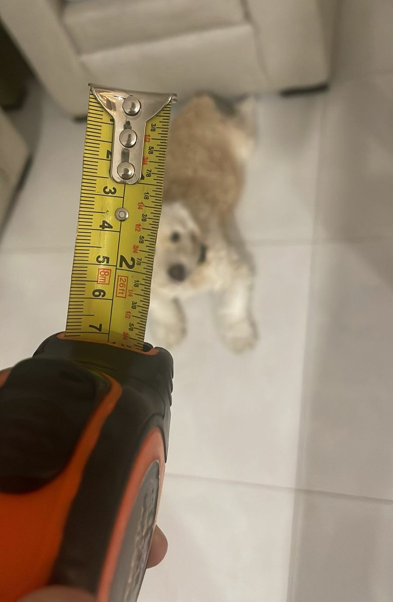 lore_zng's tweet photo. Yo: necesito referencia de 7cm, mide algo y envíame porfa.
Él: https://t.co/dqv5jEUHTR