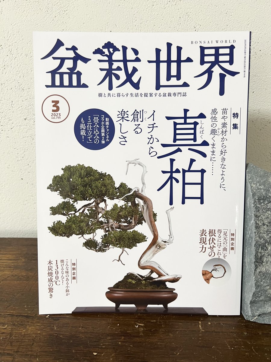 【盆栽世界3月号予告】
樹と共に暮らす生活を提案する盆栽専門誌『 #盆栽世界』最新号は2/4発売済!
今回の #水やる は12月にちえキミと始めたボンスキージョをご紹介するぜ野郎ども!
本誌メイン特集は「真柏 イチから創る楽しさ」。流行りの畳み込み病(治療法なし)動画もあるよ。 #盆栽 #bonsai 