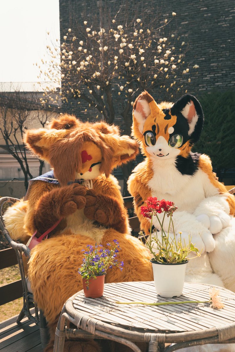 🧡🧡
#FursuitFriday #fursuit