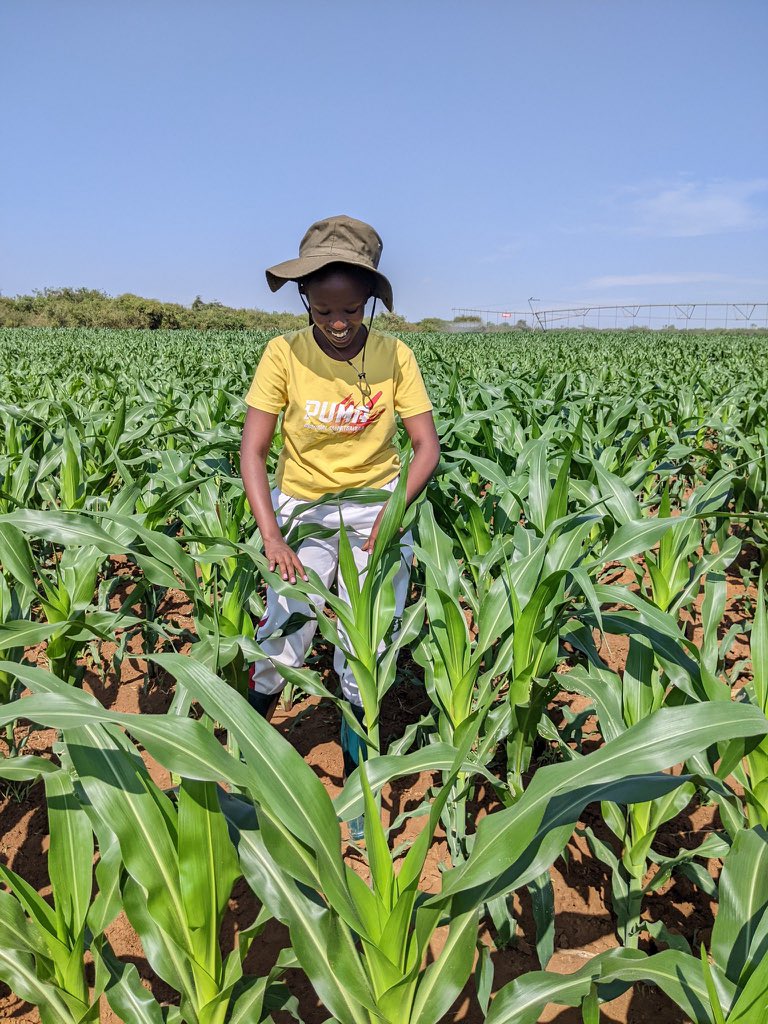 I was born to be a “ MODERN FARMER”
To farm, to inspire that’s my calling, my passion and my life!

If you’re interested join the movement, <a href="/AkezaGermaine/">AKEZA Nkunzurwanda Germaine</a> #agriculture
