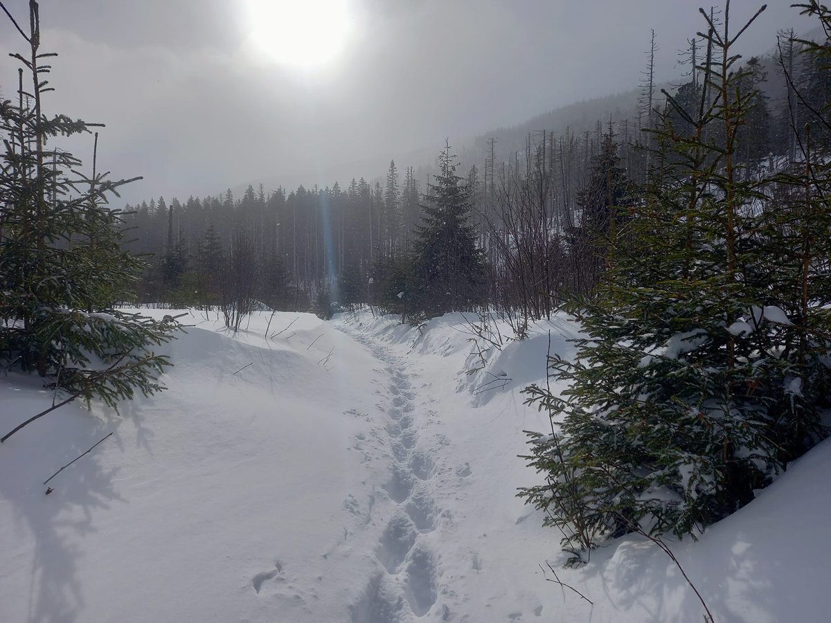 GORSKI_SWIAT's tweet photo. 🏔️#warunki #zima #kościół #śwAnny 

Borievky Photogallery, Ludovit Hrehus https://t.co/2WKWtGFB4r