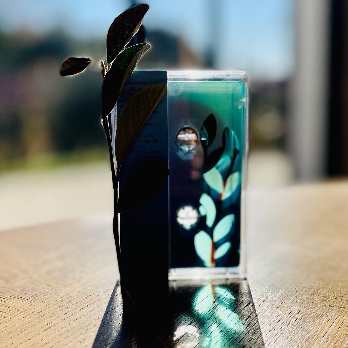 Sam (unlikely to see DMs) tweet media