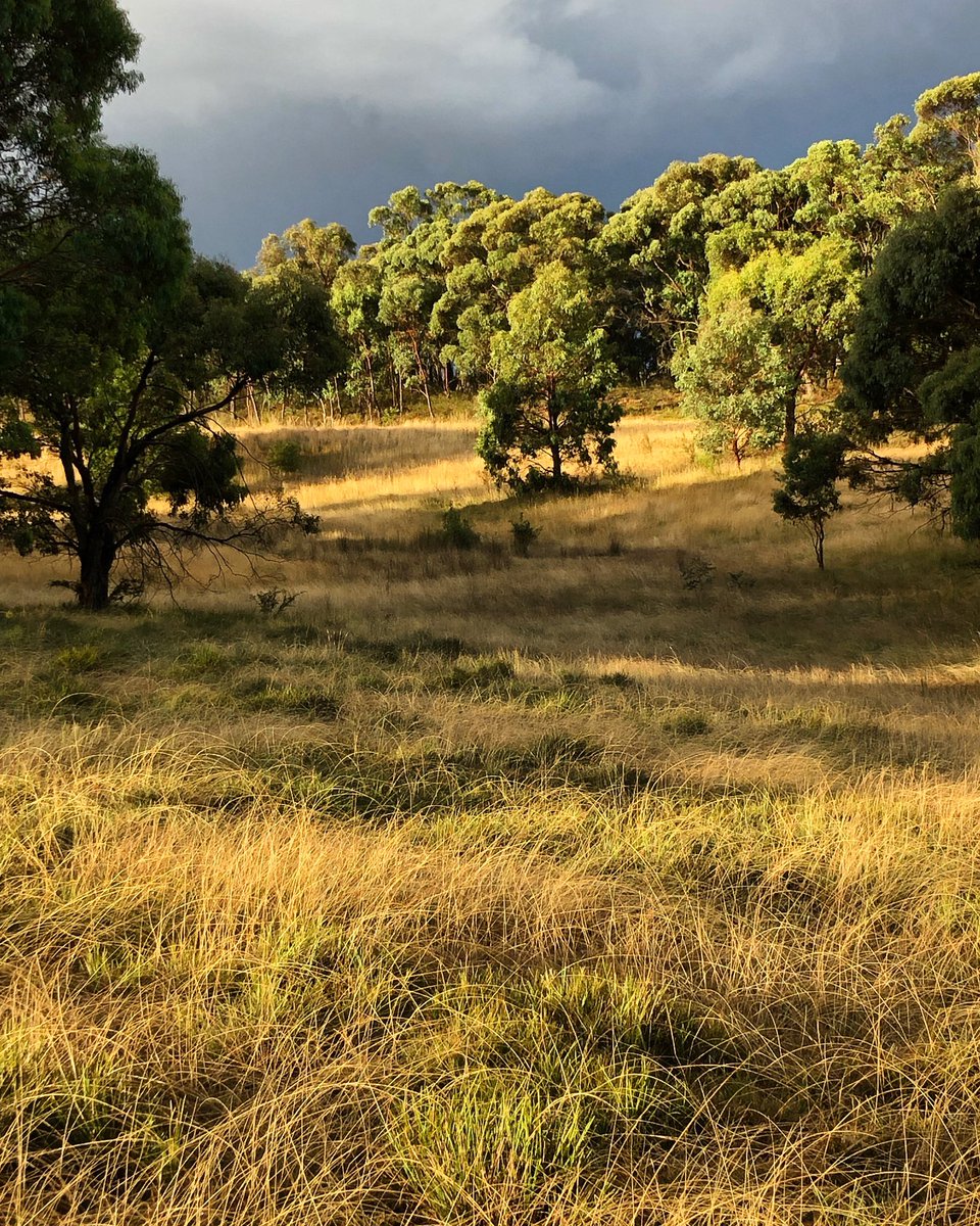 The end of a very cold day and hard to believe it’s summer #StormySky