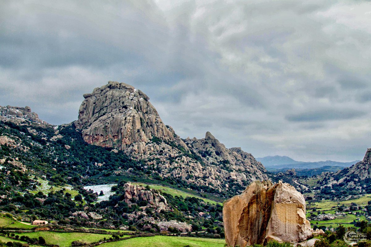 OnoNanni's tweet photo. Paesaggio Gallurese. #italy #sardinia #gallura #arzachena #aggius #luogosanto #photography #landscape #photographer #rocks #fotografia #paesaggio #mediterraneo #sardegna #grass #countryside #isola #bellaitalia https://t.co/zgrTJbOdq9