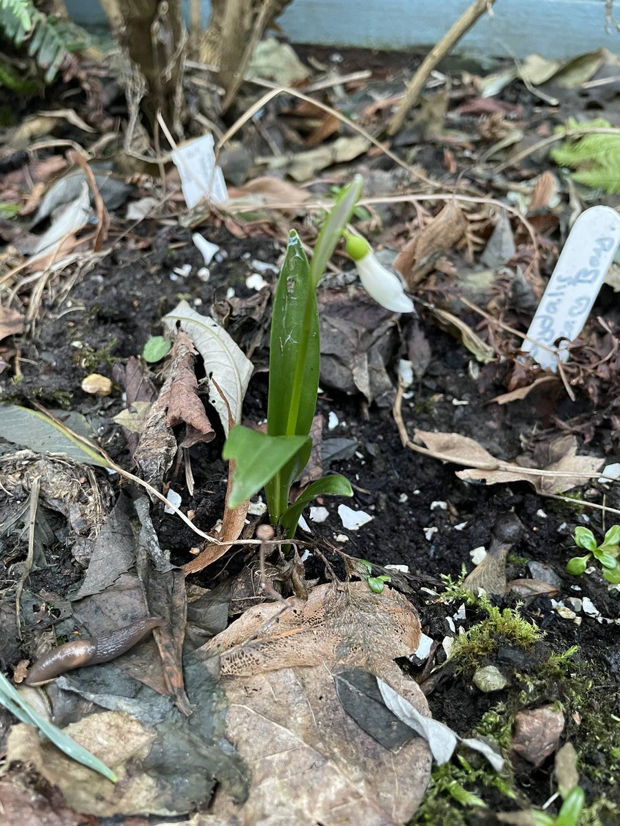 Dr Nicola Burns 🧡 tweet media