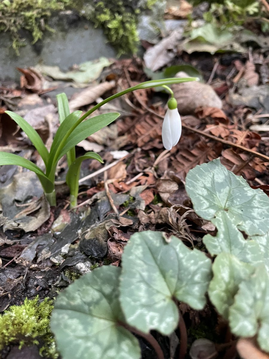 Dr Nicola Burns 🧡 tweet media