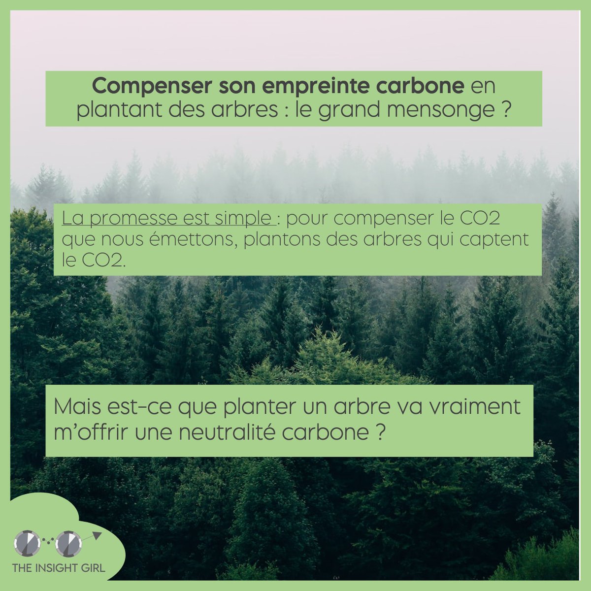EmilieBolte's tweet photo. Eco-anxieuse, moi ? Oui, totalement. Alors, j'essaie de faire mieux, de compenser mon empreinte carbone. Mais planter un arbre ne va pas suffire...
https://t.co/svbgxunV5B https://t.co/VaZHmWmaG2