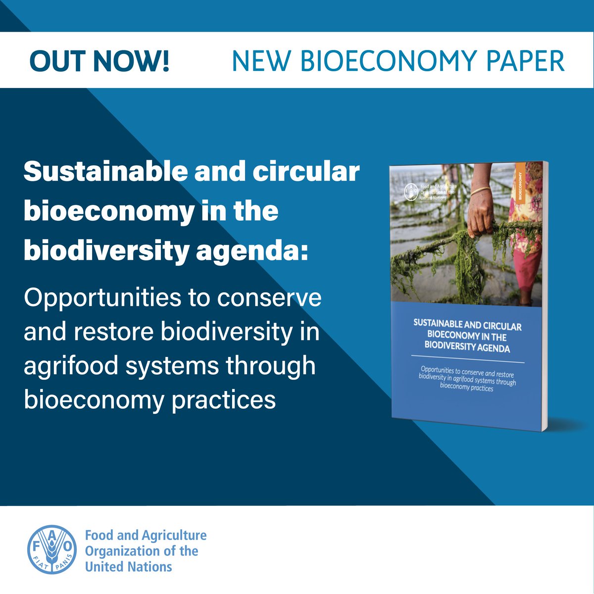 FAO Climate Change & Biodiversity tweet media