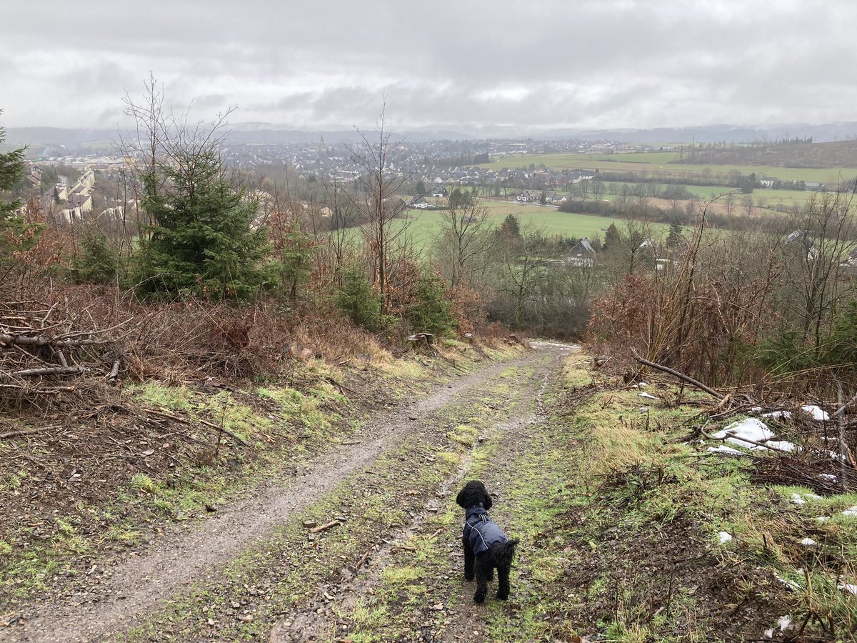 Hundewetter im Sauerland #Medebach #Winterberg