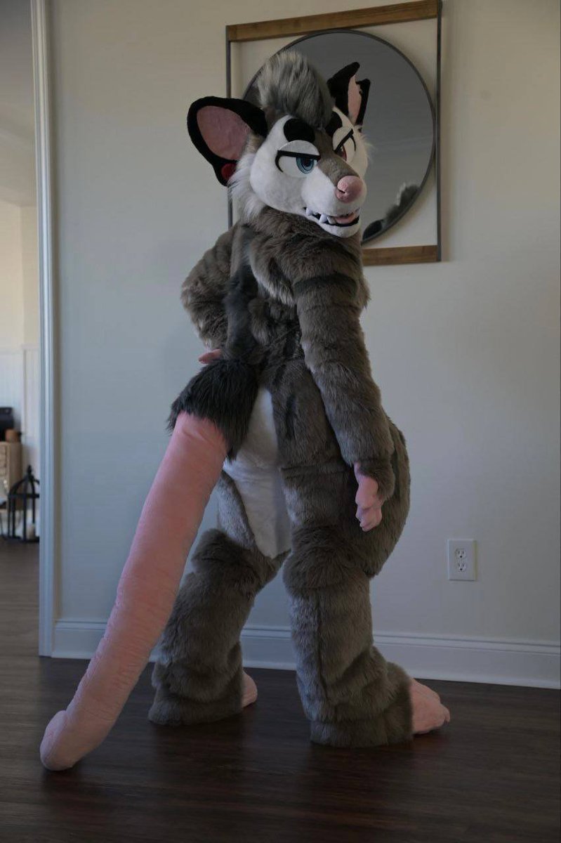 tricksterbeast's tweet photo. In love with these pictures of Rebel that @MiniBossMascots took before sending him out...really want to get some of my own this weekend if I can manage 🥰✨🌈 https://t.co/tUxcmIhNLo