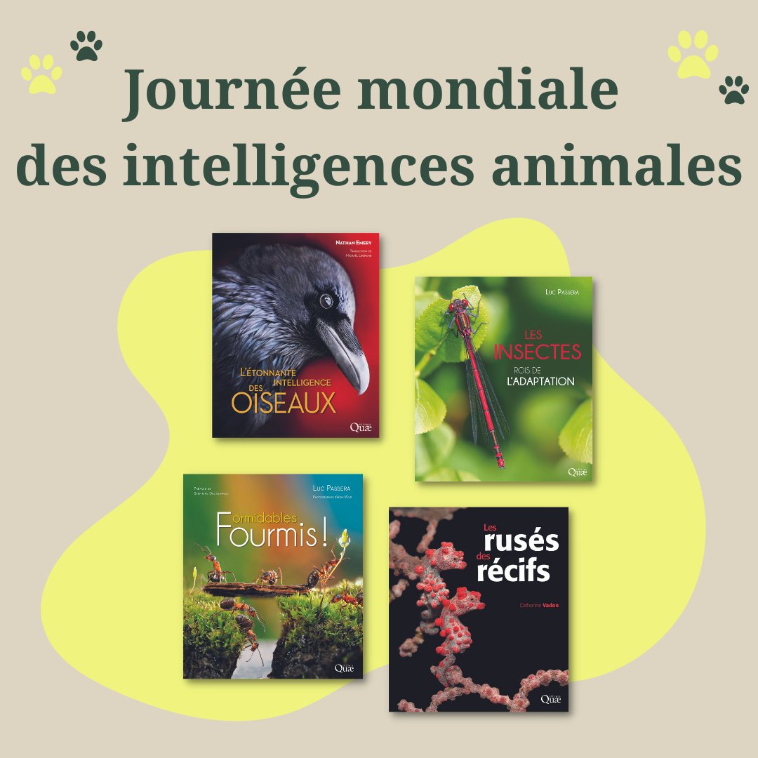 editionsquae's tweet photo. Voici une sélection d'ouvrages à découvrir à l'occasion de la 5ème édition de la Journée mondiale des intelligences animales !

#journeemondialedesintelligencesanimales #editionsquae #livresscientifiques #animaux https://t.co/o8jtKtEW5y