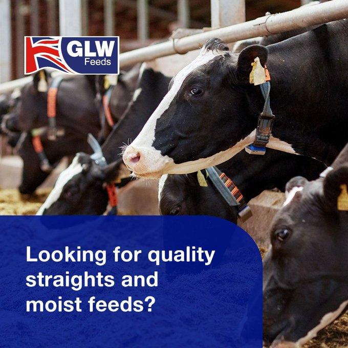 Top 139 + Largest animal feed manufacturers