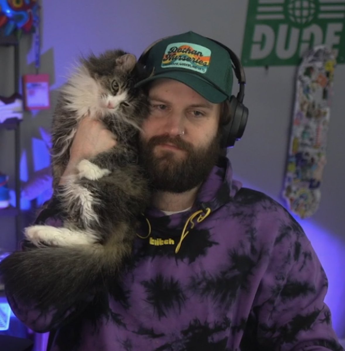 chrismel tweet media