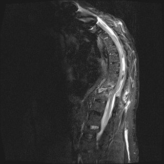 A.T. Mameghani, MD 🇨🇭🇺🇦🇮🇱 tweet media