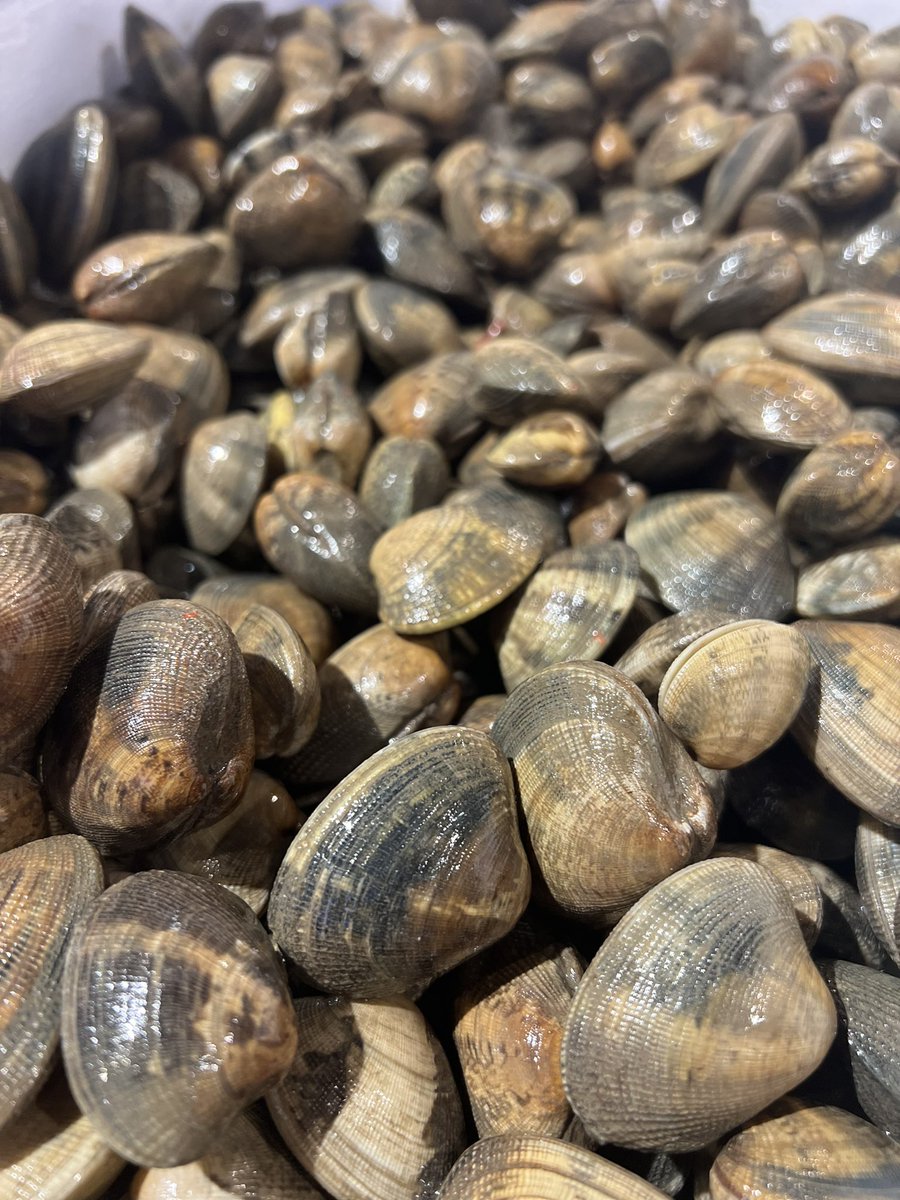 Out of the Blue tweet media